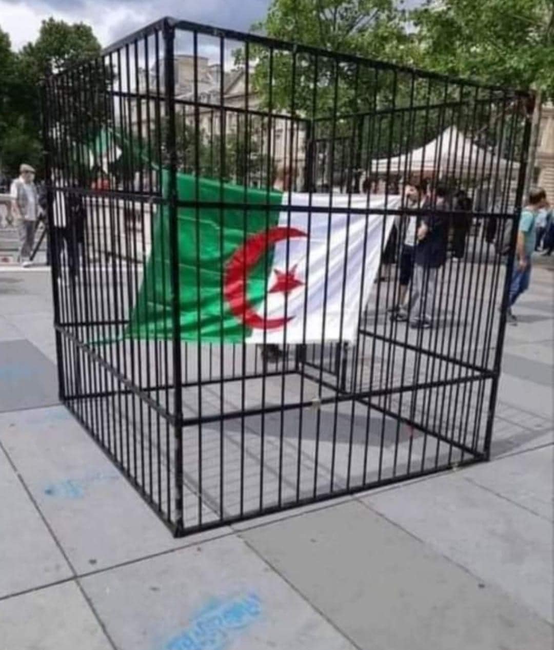 مراسلون بلا حدود ترفض قانون سيف الرقابة المسلط على الصحافة فى الجزائر